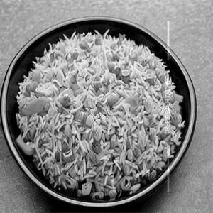 Veg Fried Rice