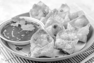Chicken Fried Wonton