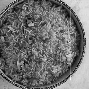 Tomato rice