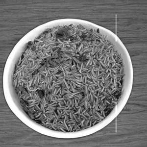 Plain rice