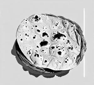 Tawa Roti 