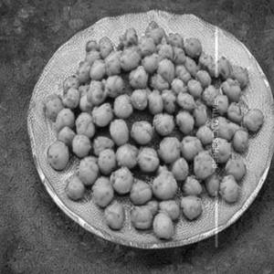 Green peas fry