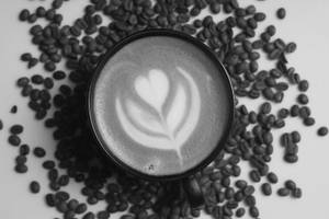 Cappuccinno