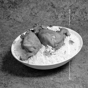 Chicken Rice