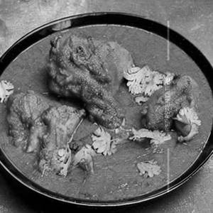 Chicken qorma