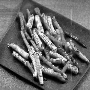 Baby corn pepper dry