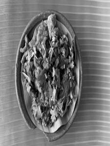 Kudal Egg