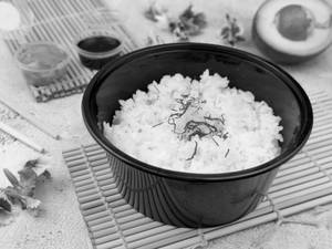 Japanese Sticky Rice