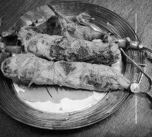 Matthi Tawa Fry