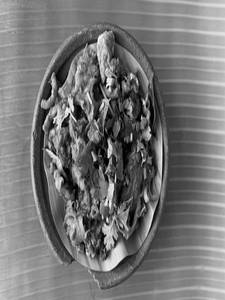Kudal Blood Fry