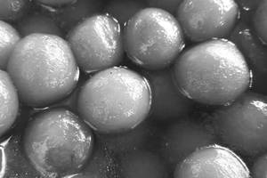 Gulab Jamun [ 2 Pieces]