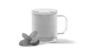 Moroccan Mint [Regular Hot]