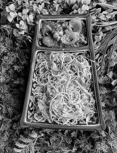 Gobhi Chilly & Veg Noodles Combo