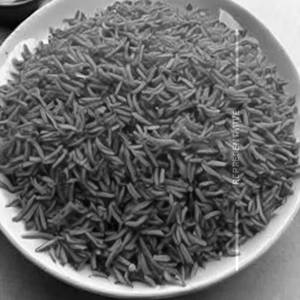 Plain Rice