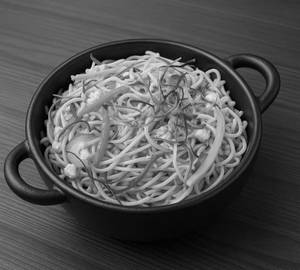Veg Hakka Noodles