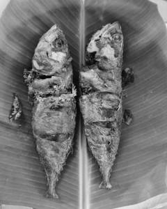 Kanakaluthai Fish Fry (1 piece)