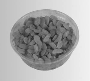 Indian Kismis
