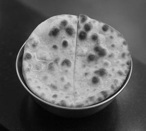 Butter Tandoori Roti