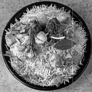 Apollo Biryani