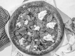Cherry Tree / Pesto Burrata Pizza
