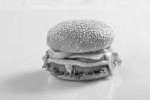 Barbeque Chicken Burger