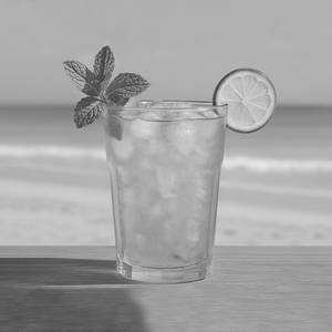 Jeera & Lemon Cooler (300ml)