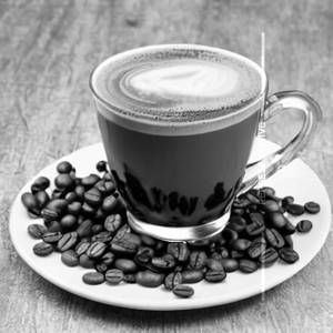 Mocha 