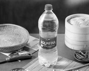 Aquafina Bottle