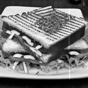 Paneer special