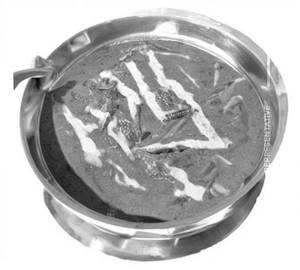 Palak curry
