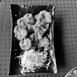Chicken Rawa