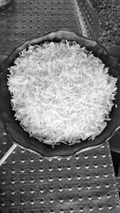 Plain Rice