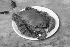 Crab Fry Shell