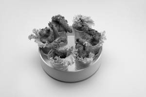 Crunchy Golden Prawns