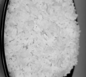 Plain Rice (J)