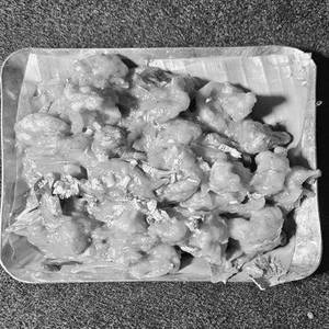 Prawn Fry