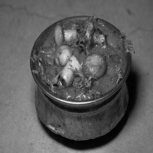 Mushroom Masala