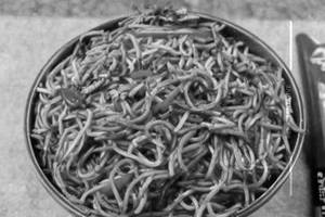 Schezwan noodles [mixed]