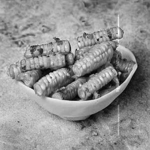 Baby corn