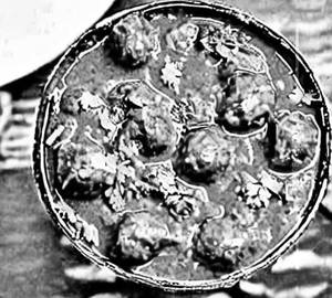 Kaju mushroom curry