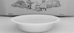 Butterscotch Misti Doi (100)