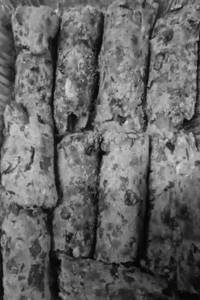 Veg Seekh Kabab