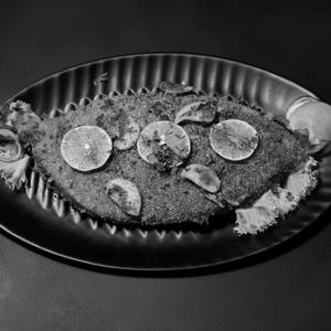 Surmai Tawa Fry