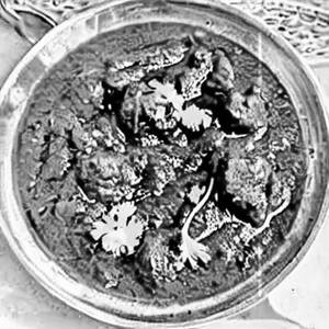 Mutton hydrabadi
