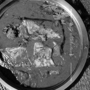 Fish curry