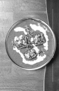 Paneer Shahi