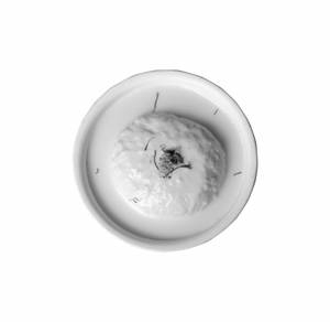 Kesar Rasmalai