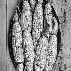 Lovely Corn