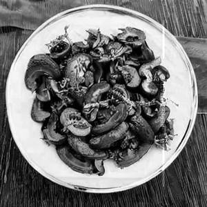 Mushroom Angaron Se