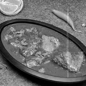 Fish Latpat